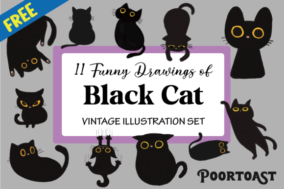 Download Black Cat Collection - Black cat Collection